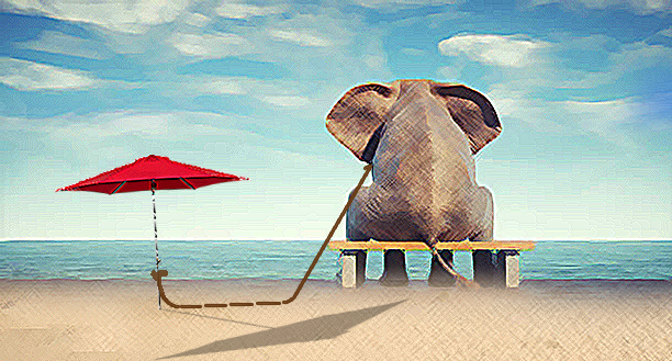elefant